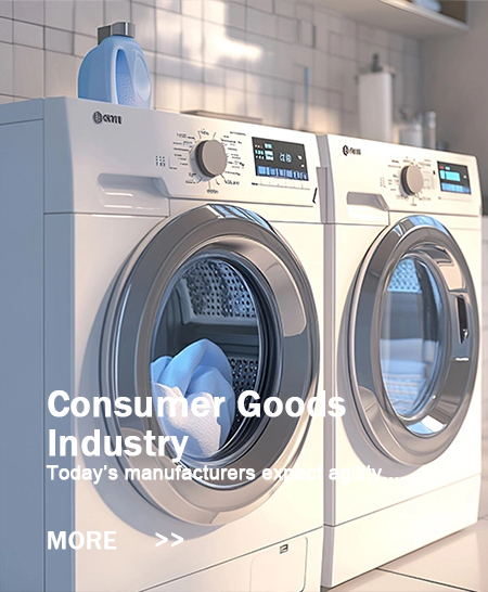 Consumer Goods Industry
